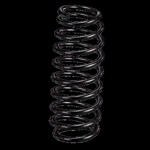 Rear Spiral Spring